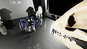 Diagnosis: No Answer