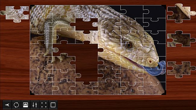 Jigsaw Puzzle World - Reptiles