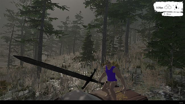 Florida Man: Hurricane Hijinks