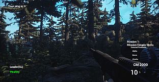 Liberation Special Forces