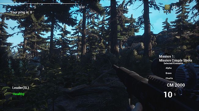 Liberation Special Forces