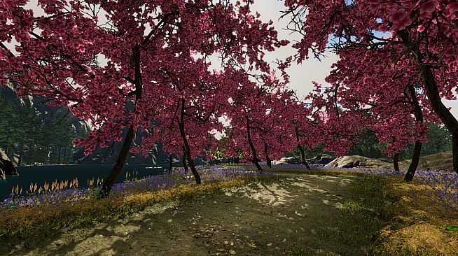 Gander National Park