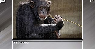 Super Jigsaw Puzzle: Generations - Monkeys & Apes Puzzles