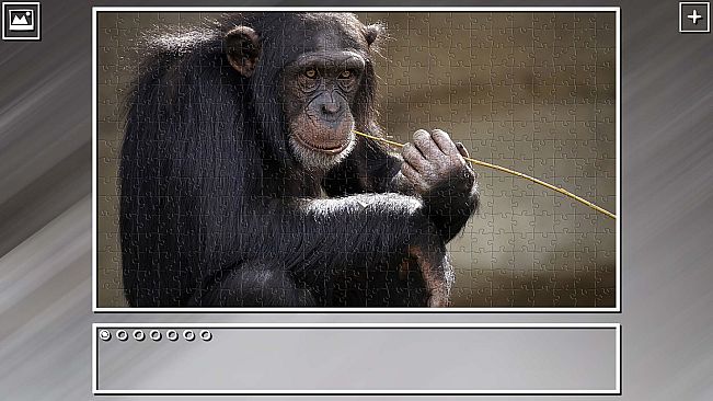 Super Jigsaw Puzzle: Generations - Monkeys & Apes Puzzles