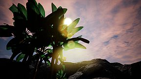 Nebula Complex Survival