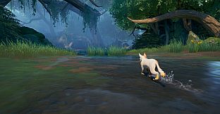 Warrior Cats: Clans of the Forest