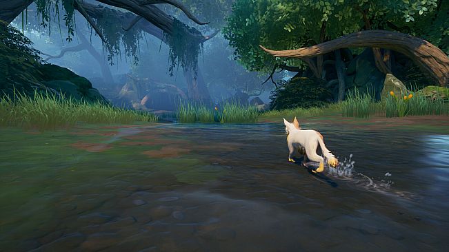 Warrior Cats: Clans of the Forest