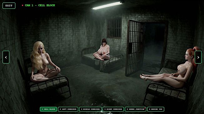 Horny Asylum :  The Undercroft