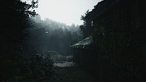 Lushfoil Photography Sim