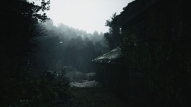 Lushfoil Photography Sim