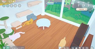 Purrozy: Cat in Focus