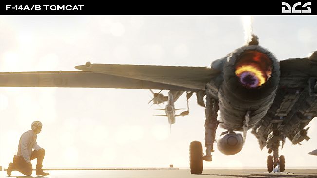 DCS: F-14A/B Tomcat by Heatblur Simulations