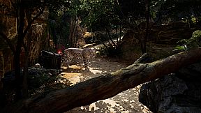 Pirates VR: Jolly Roger