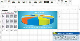 Professor Teaches Excel 2013 & 365