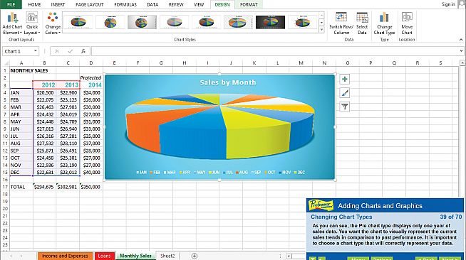 Professor Teaches Excel 2013 & 365
