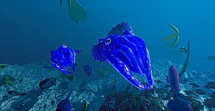 Ecosystem - Tropical Fish Pack