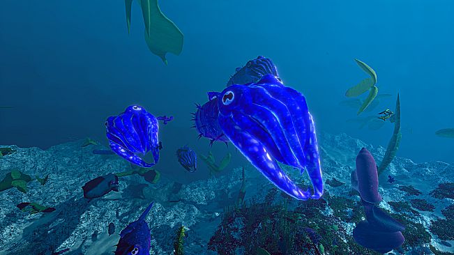 Ecosystem - Tropical Fish Pack