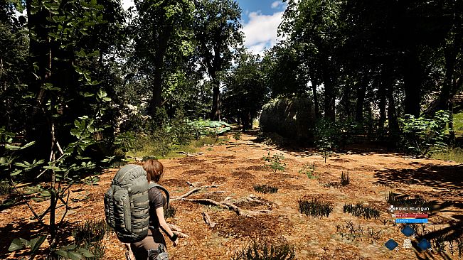 Cypress Inheritance: The Beginning