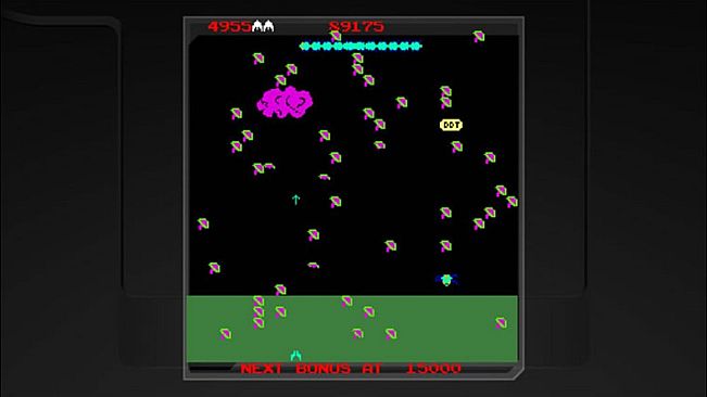 Centipede & Millipede