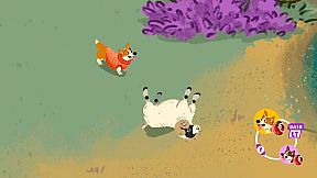 Into the Woolderness