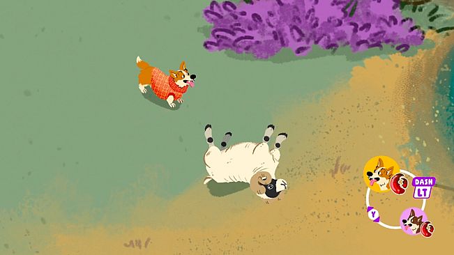 Into the Woolderness