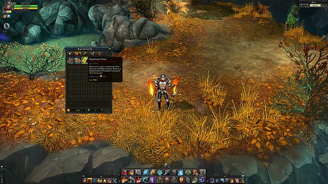 Royal Quest Online - Packmaster