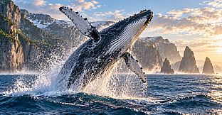 Puzzle Whales