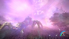 Hidden Treasures in the Forest of Dreams