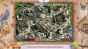 My Lovely Pets 2 Collector's Edition