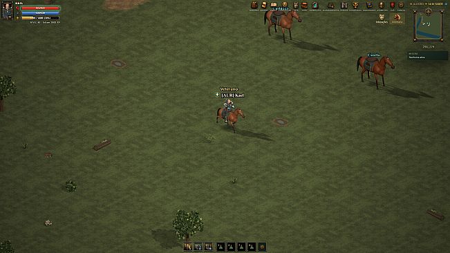 Arena Medieval