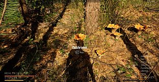 Holy Shroom!