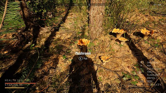 Holy Shroom!
