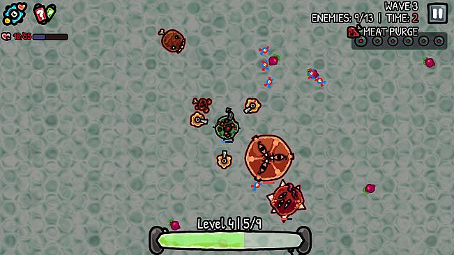 Cytoblast