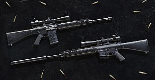 Insurgency: Sandstorm - Black Powder Weapon Skin