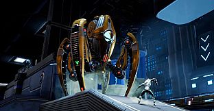 Soul Cipher: The Code Within