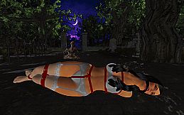 Bondage Nightmare
