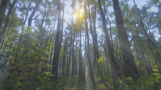 Mindfulness Simulator - ASMR Meditation Game