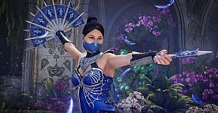 Mortal Kombat 1: Definitive Edition Upgrade