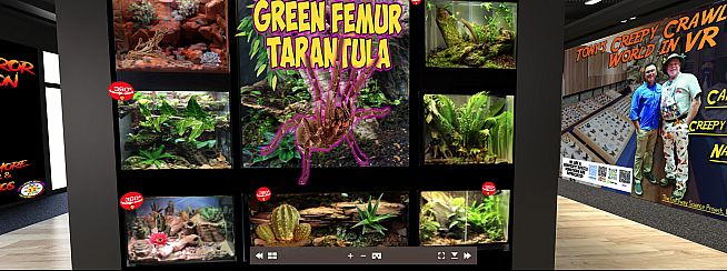 Tony's Creepy Crawly Zoo 2.0