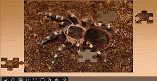 Jigsaw Puzzle World - Arachnids
