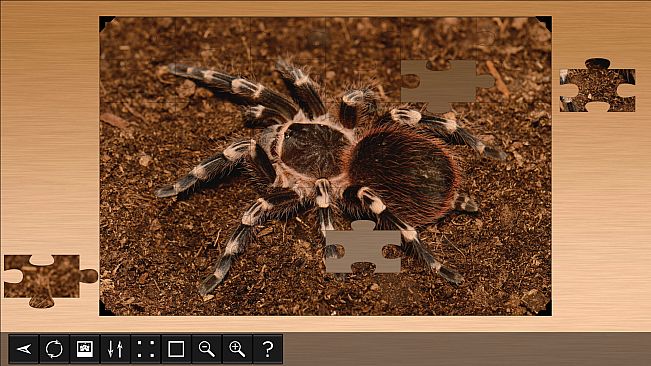 Jigsaw Puzzle World - Arachnids