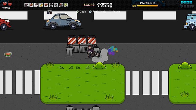 Trash Raccoon