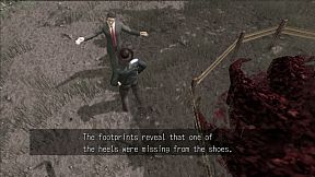 Deadly Premonition: The Director's Cut