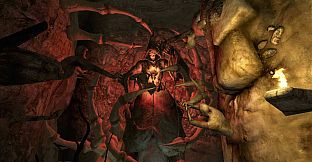 The Elder Scrolls IV: Oblivion Game of the Year Edition Deluxe (2009)