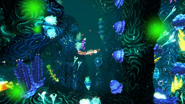 Into the Belly of the Beast