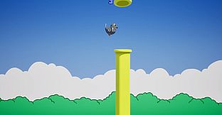 BirdPakour