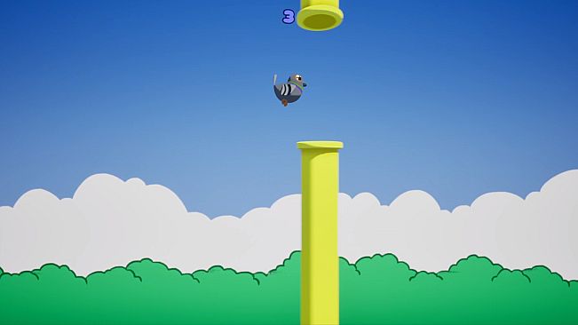 BirdPakour