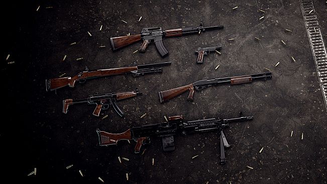 Insurgency: Sandstorm - Woodwork Weapon Skin Set