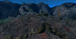 The Stanford Ocean Acidification Experience