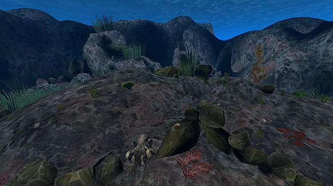 The Stanford Ocean Acidification Experience